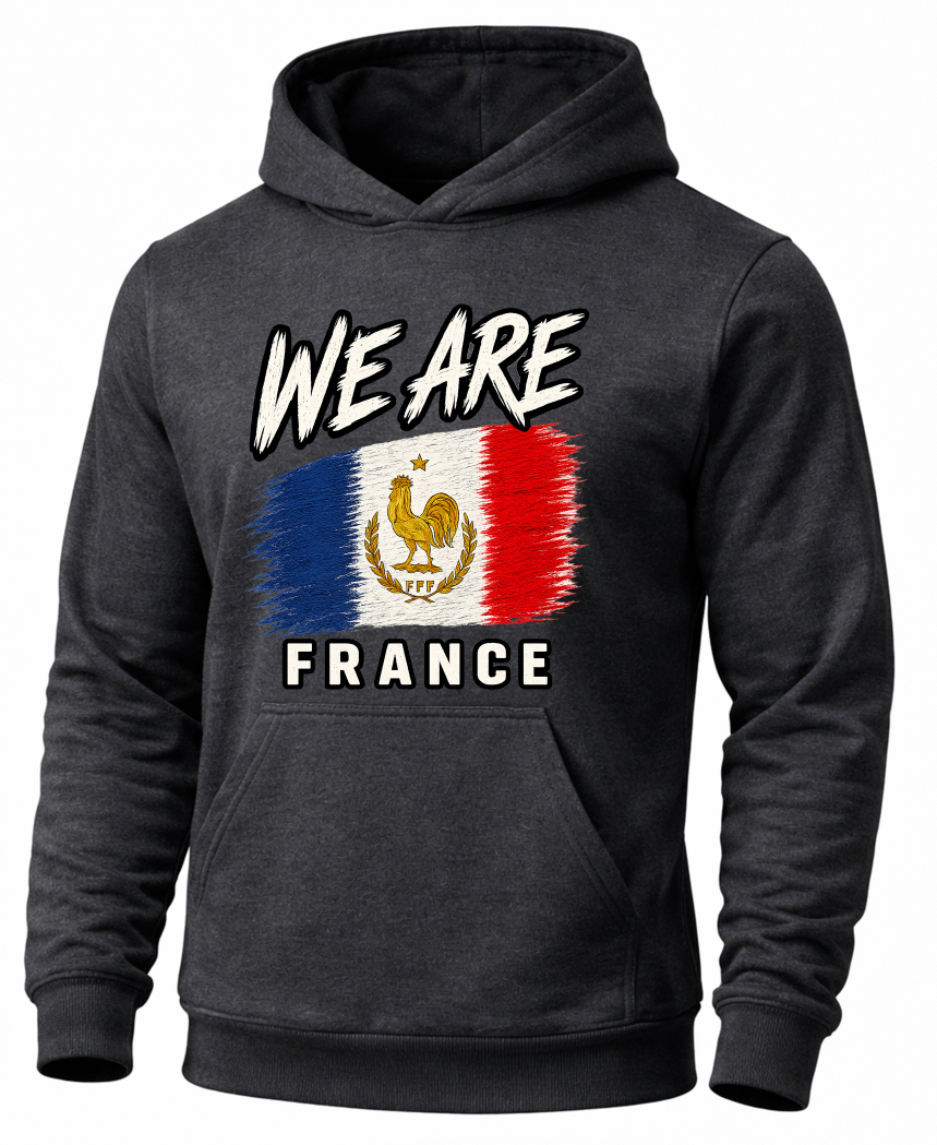 A dark gray heathered hoodie featuring a distressed French flag graphic with the text 'WE ARE' above and 'FRANCE' below, displayed on a clean white background.
