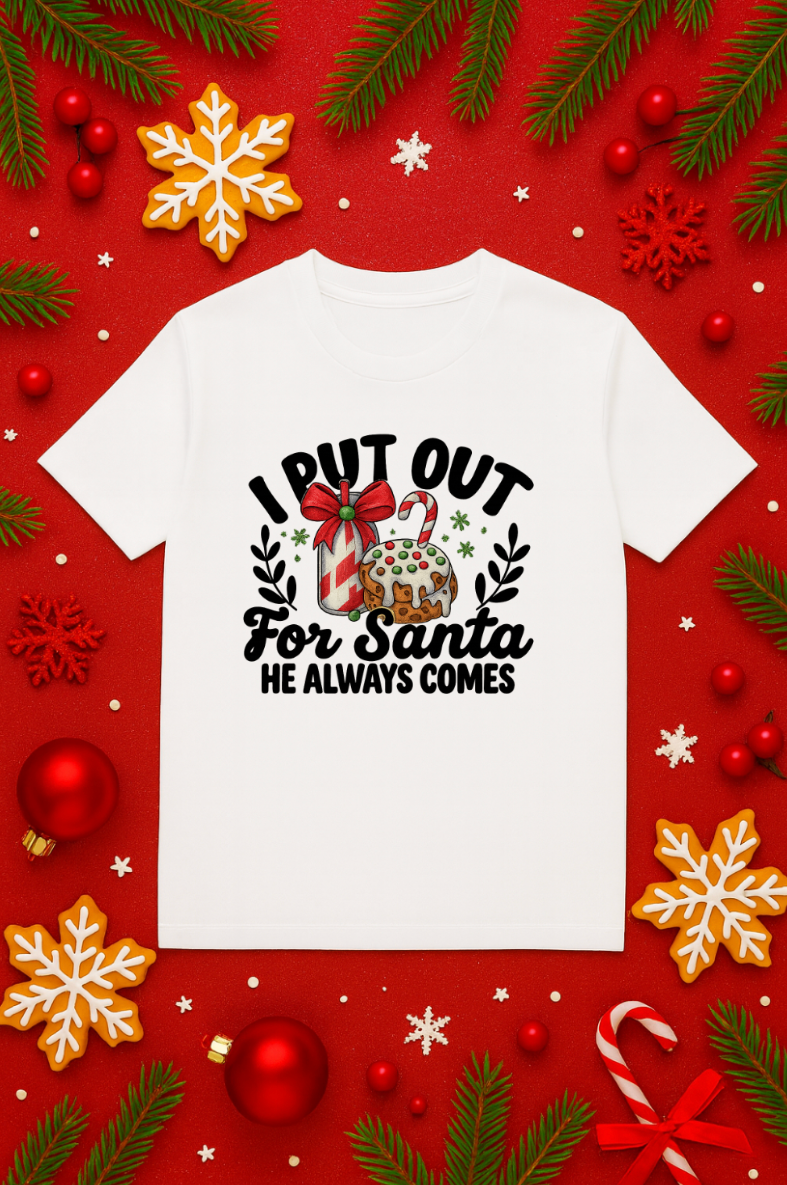Funny Christmas t-shirt with “I Put Out for Santa” adult humor design printed on a white Bella + Canvas 3001 unisex tee, featuring festive holiday graphics on a red Christmas background