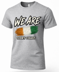 A heather gray short-sleeve t-shirt with a graphic print on the front. The design features the text 'WE ARE' in a stylized black-and-white font above a textured tricolor flag in orange, white, and green, with 'IVORY COAST' printed below in white with a black outline.