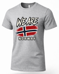 A heather gray short-sleeve crewneck t-shirt featuring a graphic print of the Norwegian flag and the text 'WE ARE NORWAY' in stylized white lettering with black outlines.