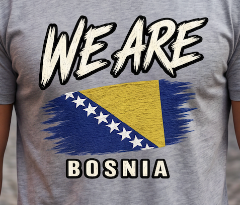 A close-up of a heather gray t-shirt featuring a distressed graphic print with the text 'WE ARE' above the Bosnia flag and 'BOSNIA' below.