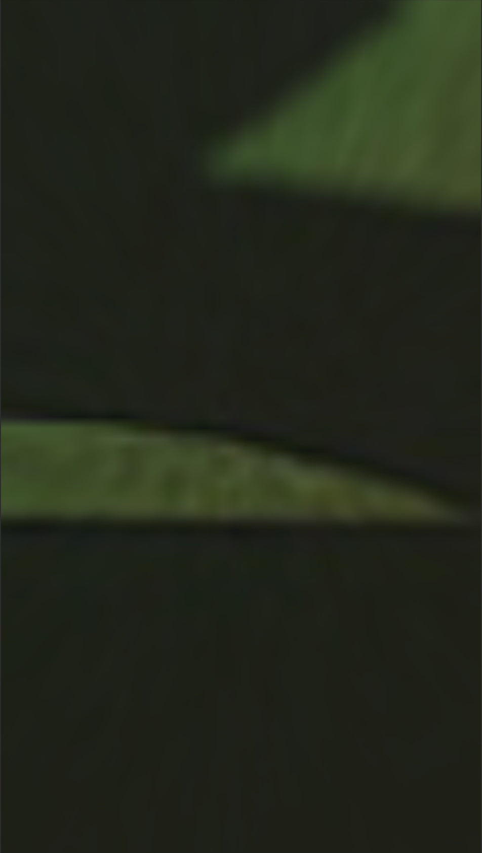 Merry Christmas Holiday Graphic Tee – Festive Christmas T-Shirt for Women & Men | Cute Holiday Outfit Gift